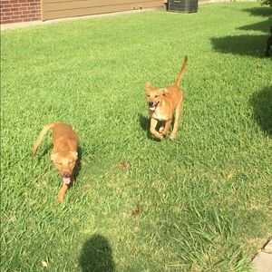 Meet your Posher, Candy